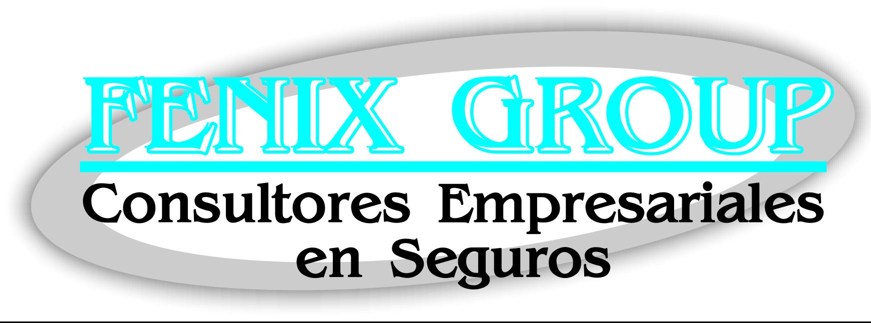 https://fenixgroupseguros.com/